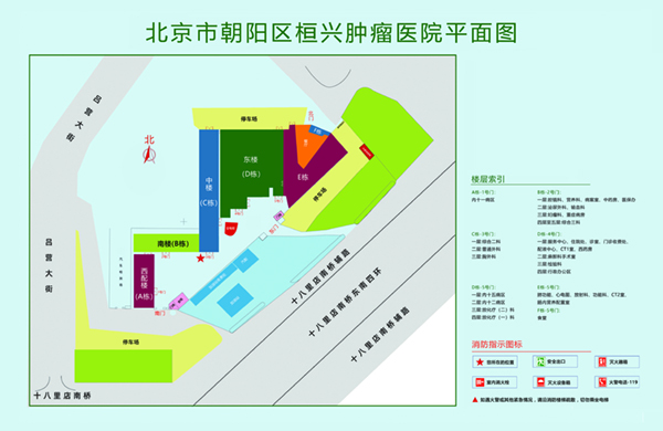 日逼嘿嘿北京市朝阳区桓兴肿瘤医院平面图